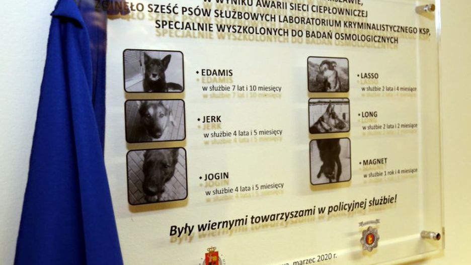 Warszawa. Tablica upamiętniająca sześć policyjnych psów.