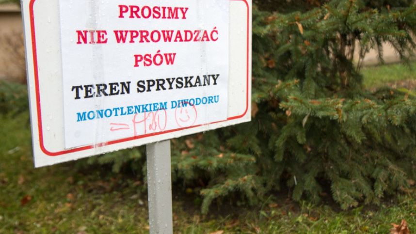 Osobliwa walka z leniwymi właścicielami psów
