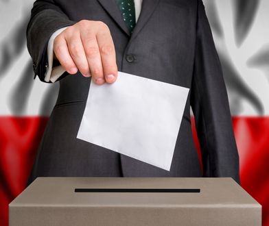 Wybory parlamentarne 2019: Programy i obietnice wyborcze [PiS, Lewica, Konfederacja, PSL]