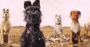 "Wyspa psów": nowy film Wesa Andersona zasługiwał na więcej [RECENZJA BLU-RAY]
