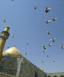 Operacja wojsk USA w Nadżafie to "ogromne ryzyko"