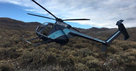 Łoś strącił helikopter. Załoga chciała oznakować zwierzę