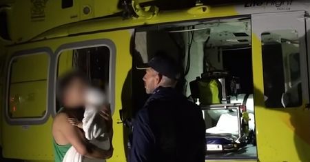 Dramat na wakacjach. Dingo porwały małego chłopca z samochodu
