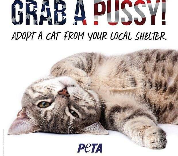 Grab a pussy PETA