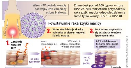 HPV? A co to jest?!