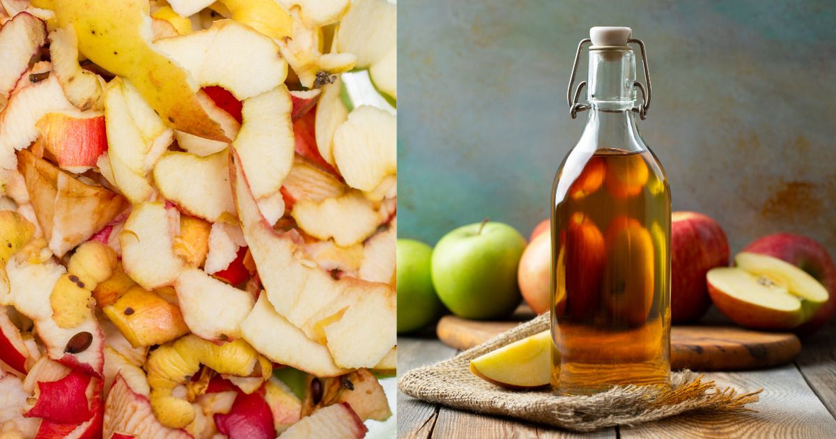 Ocet z obierek jabłek - genialny, zdrowy produkt z resztek