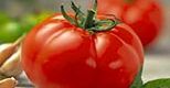 Pomidor na wiosnę?