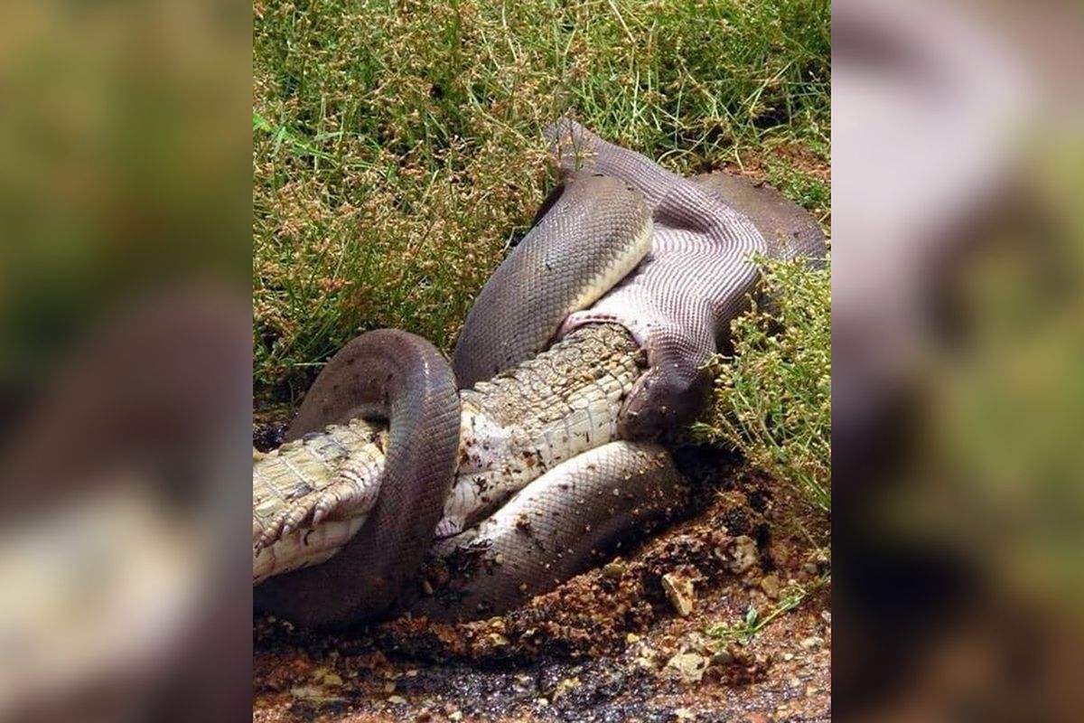 SkróTech. Najważniejsze wiadomości dnia [22.07.2019r.]