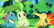 Twórcy Pokémon Go zdradzają plany na przyszłość