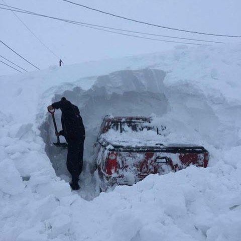 cbcnorth/instagram