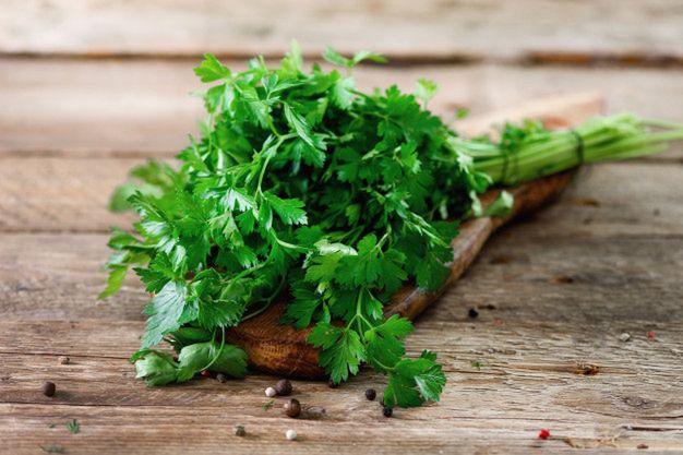 Simple Hacks to Make Your Coriander Grow Vigorously. You Will Never ...