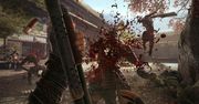 Pokaz mocy Shadow Warrior 2 zdradza nieliche ambicje autorów