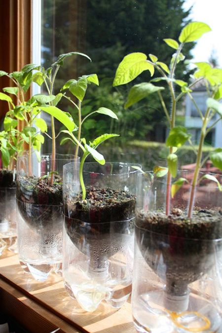 Handmade Bottle Planter