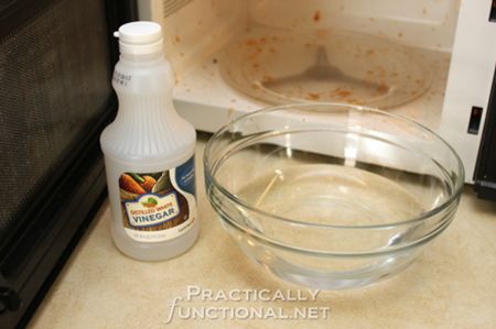 Microwave Cleaner