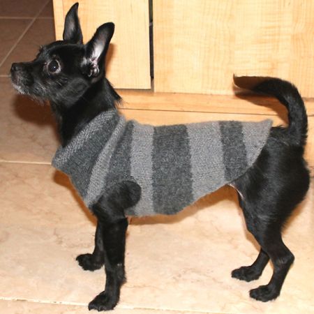 Recycled Dog Sweater