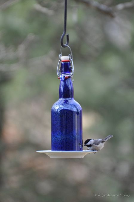 Wine Bottle Bird Feeder