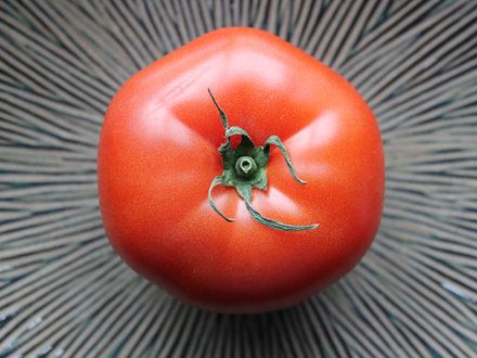 Ostatni taki pomidor – o żywności GMO