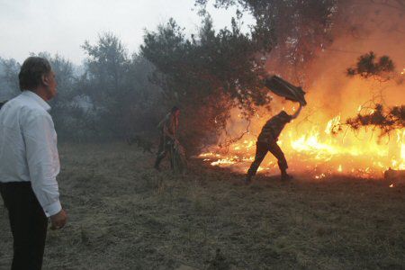 Juszczenko gasił pożar lasu