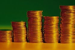 KE: w 2014 r. nadwyżka sektora finansów publicznych po reformie OFE