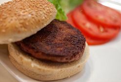 Pierwszy w historii burger z próbówki