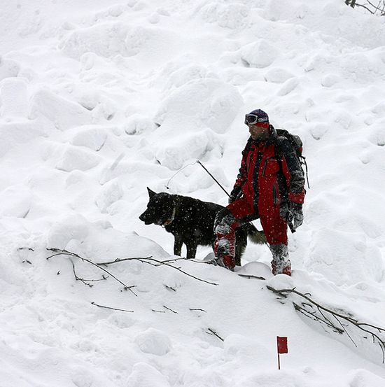Śnieg uniemożliwia poszukiwania zaginionego mężczyzny