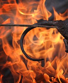 Współcześni szczurołapi