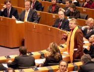 Pomarańczowy europarlament