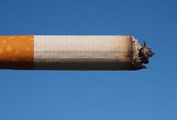 Głosowanie ws. dyrektywy tytoniowej - w październiku