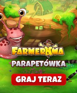 Parapetówka w Farmeramie