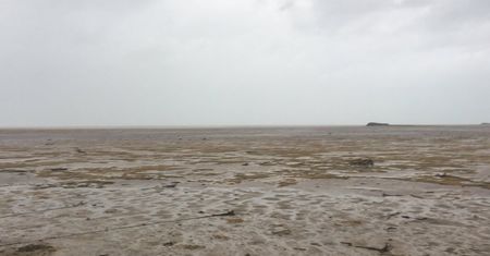 Zaskakujące skutki huraganu Irma. Ocean dosłownie zniknął