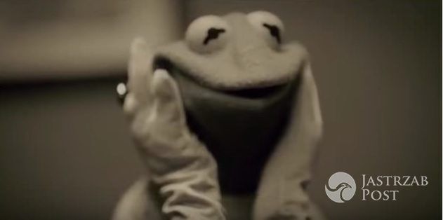 Kermit parodiuje hit Adele