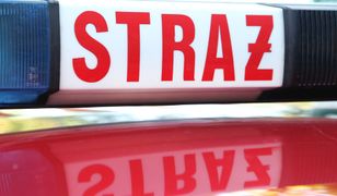 Pożar dachu kamienicy w Łodzi. W akcji 6 zastępów straży pożarnej