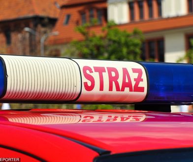 Warszawa. Spłonął bus na Trasie Toruńskiej. Kierowca uratował dzieci