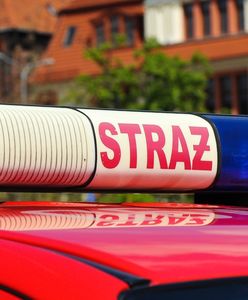 Warszawa. Spłonął bus na Trasie Toruńskiej. Kierowca uratował dzieci