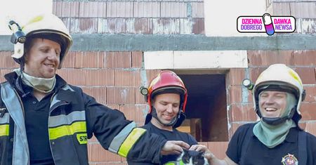 Utknął w rurach na prawie dobę. Strażacy uratowali kota