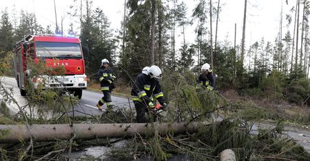 Silny wiatr na południu Polski. Wiele domów bez prądu