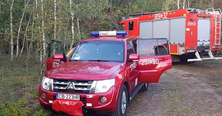 Bydgoszcz. Tragiczny finał poszukiwań grzybiarza. 72-latek nie przeżył