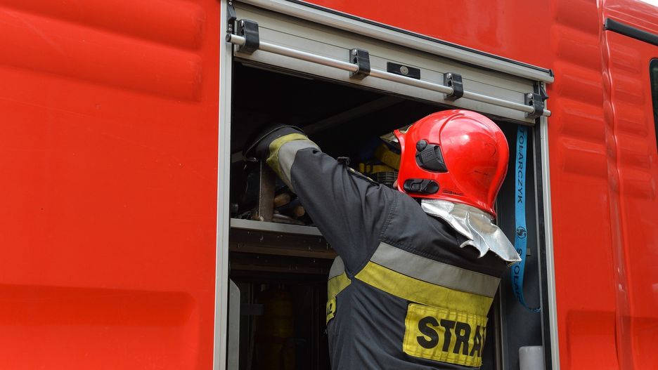 Udało się uratować jednego z koni