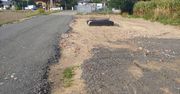 Beton niezgody. Jak stacja nadawcza dzieli mieszkańców Konina