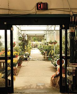 Polacy wykorzystywani w szwedzkiej firmie ogrodniczej