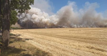 Wielkie pożary w Wielkopolsce. Jest apel straży pożarnej do kierowców. "Nie ustępują pierwszeństwa"