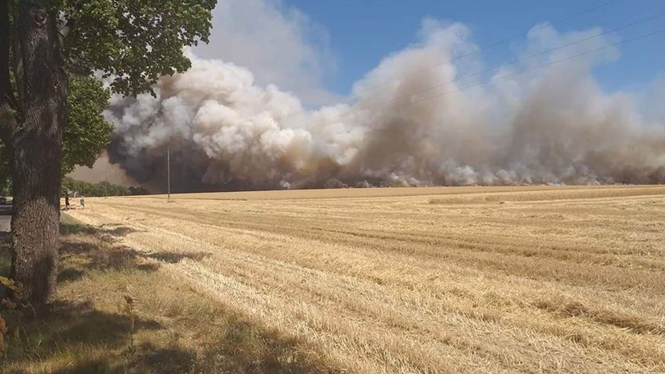 Komorniki. Wielki pożar, kłęby dymu nad Wielkopolską