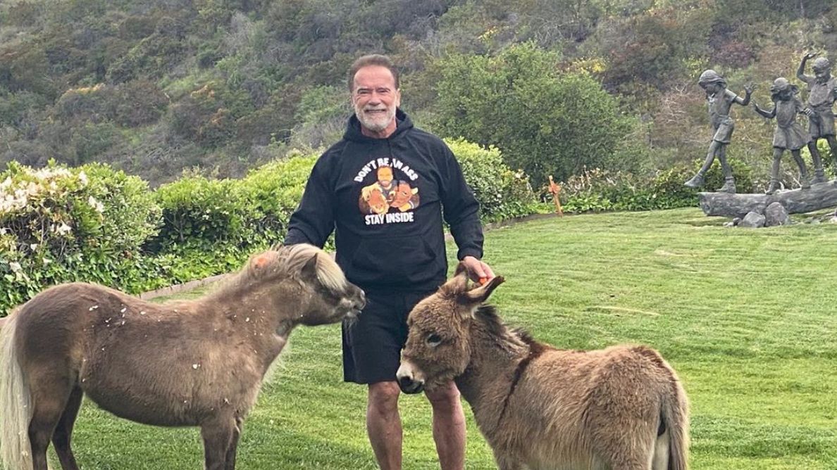 Arnold Schwarzenegger podczas pandemii koronawirusa