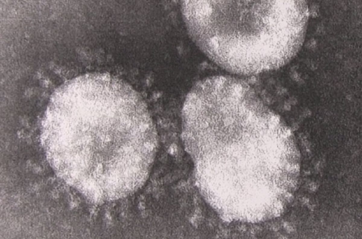 Czy koronawirusem można zarazić się dwa razy? Eksperci odpowiadają