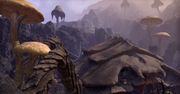 Tęsknicie za Morrowindem? Bo ZeniMax kusi zwiastunem