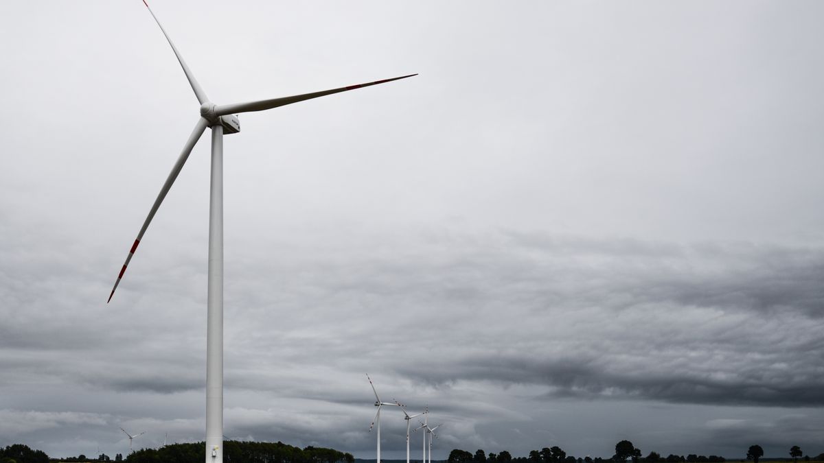 Domyślny opis zdjęcia na stronę główną