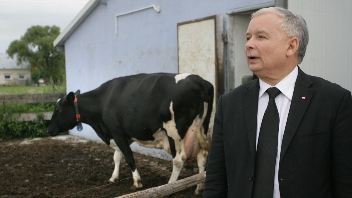 Rząd podnosi stawki w programie dopłat dla rolników. 