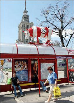 Cow Parade na ulicach stolicy