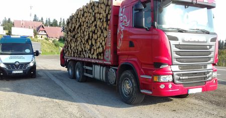 Mandaty na nich nie działają. Czekają, aż ktoś zginie