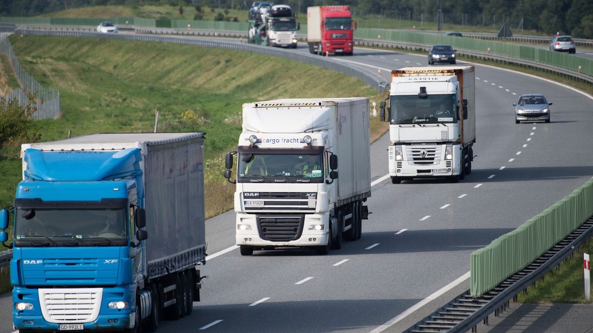 98 proc. zawodowych kierowców stanowią mężczyźni.